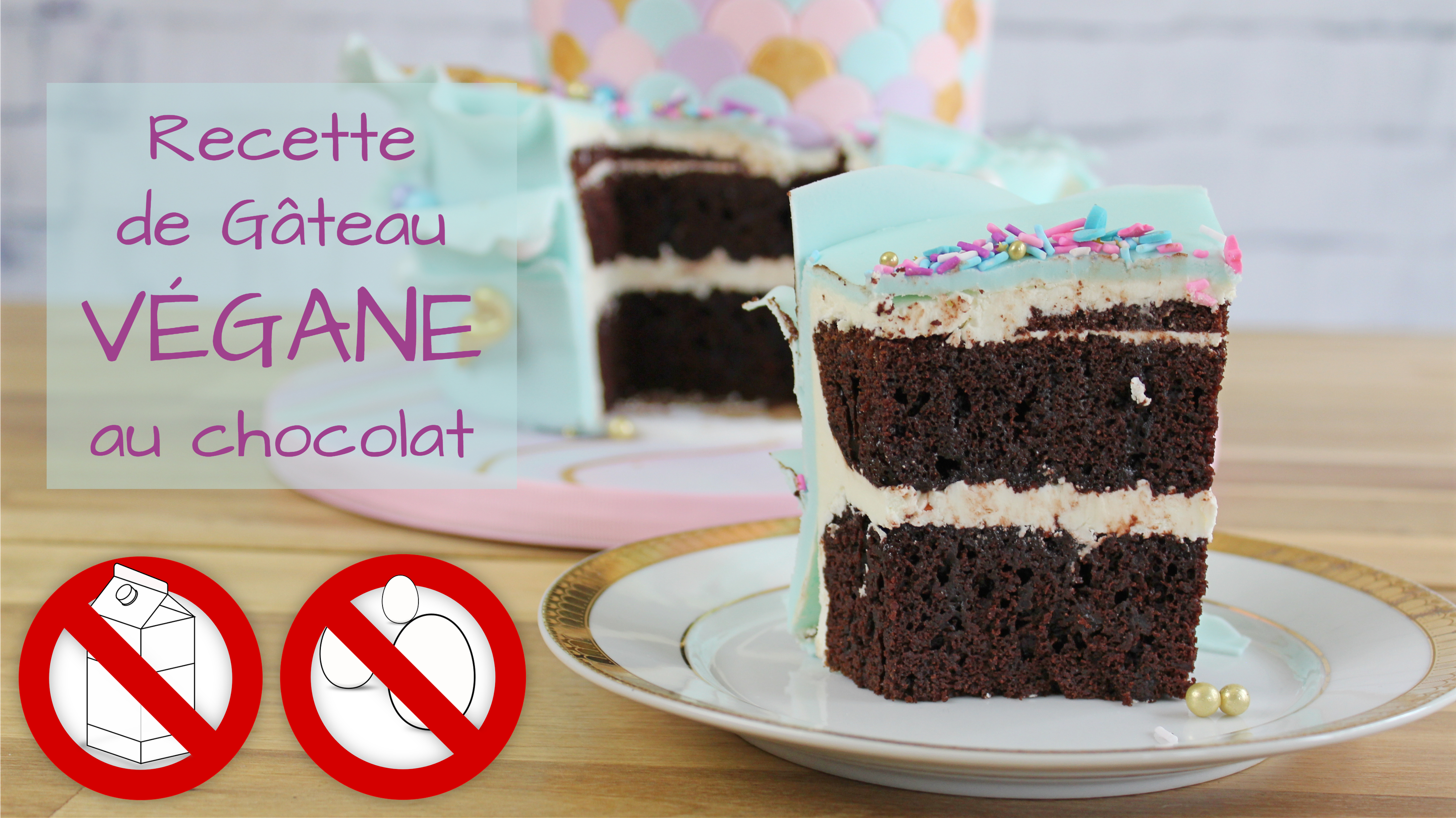 Gâteau Au Chocolat Sans Produit Laitier Et Sans Oeuf Vegan